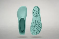 Wildling Shoes Ranidae