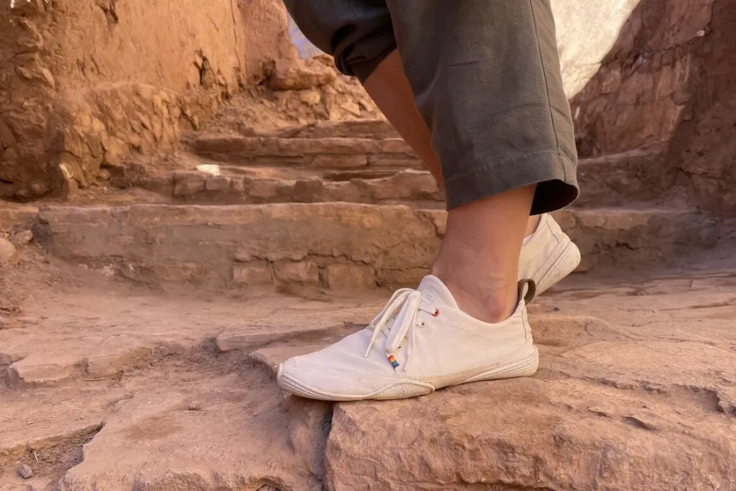 Wildling Shoes Tanuki